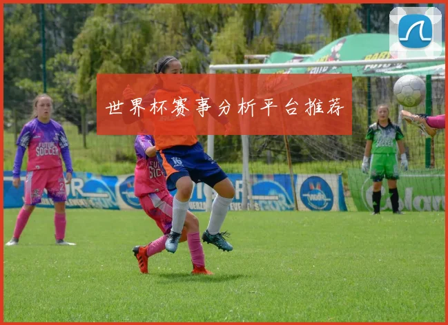 世界杯赛事分析平台推荐