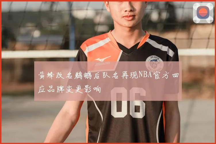黄蜂改名鹈鹕后队名再现NBA官方回应品牌变更影响