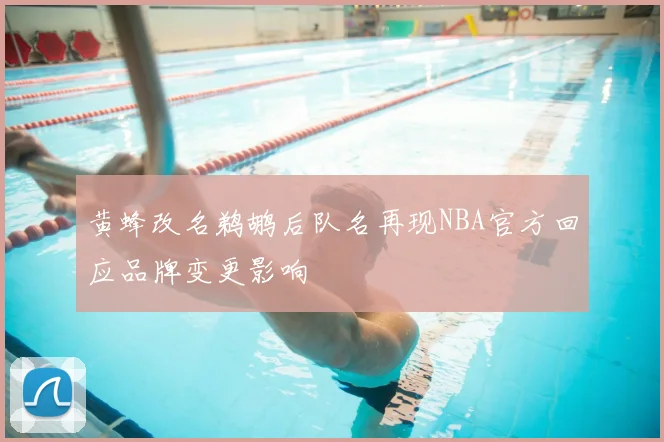 黄蜂改名鹈鹕后队名再现NBA官方回应品牌变更影响