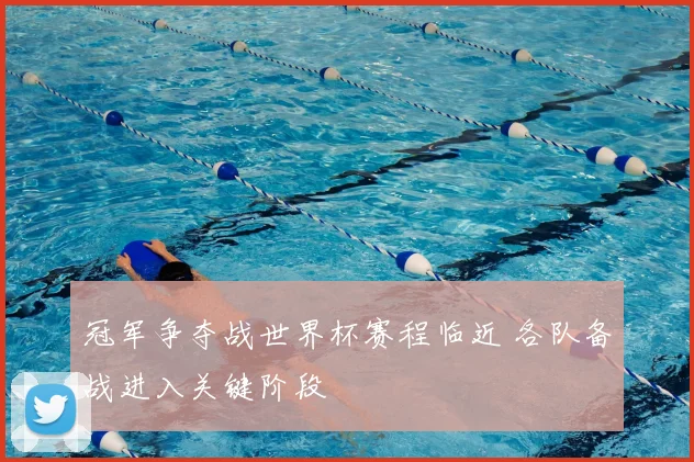 冠军争夺战世界杯赛程临近 各队备战进入关键阶段