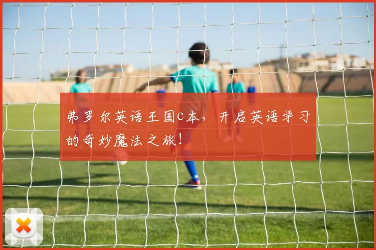 弗罗尔英语王国c本,开启英语学习的奇妙魔法之旅!